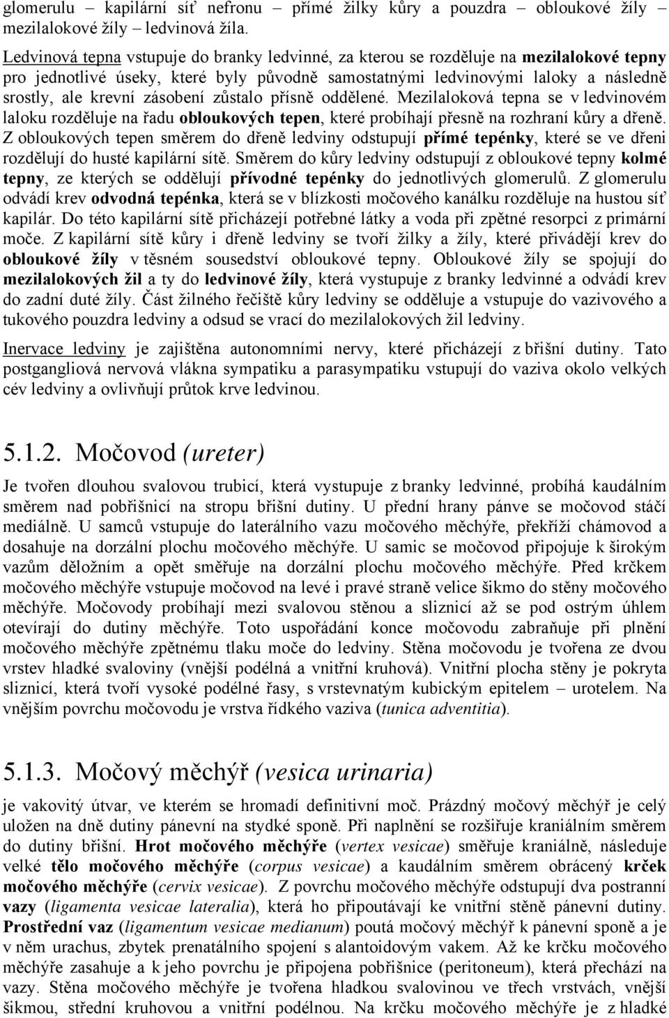 zásobení zůstalo přísně oddělené. Mezilaloková tepna se v ledvinovém laloku rozděluje na řadu obloukových tepen, které probíhají přesně na rozhraní kůry a dřeně.