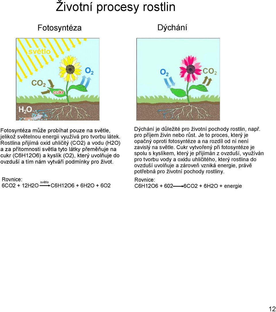 Rovnice: 6CO2 + 12H2O světlo C6H12O6 + 6H2O + 6O2 Dýchání je důležité pro životní pochody rostlin, např. pro příjem živin nebo růst.