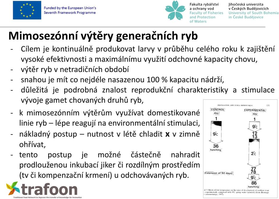 stimulace vývoje gamet chovaných druhů ryb, - k mimosezónním výtěrům využívat domestikované linie ryb lépe reagují na environmentální stimulaci, - nákladný postup