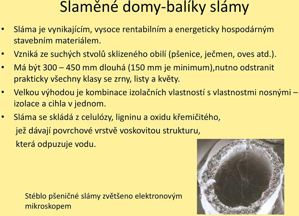 Má být 300 450 mm dlouhá (150 mm je minimum),nutno odstranit prakticky všechny klasy se zrny, listy a květy.