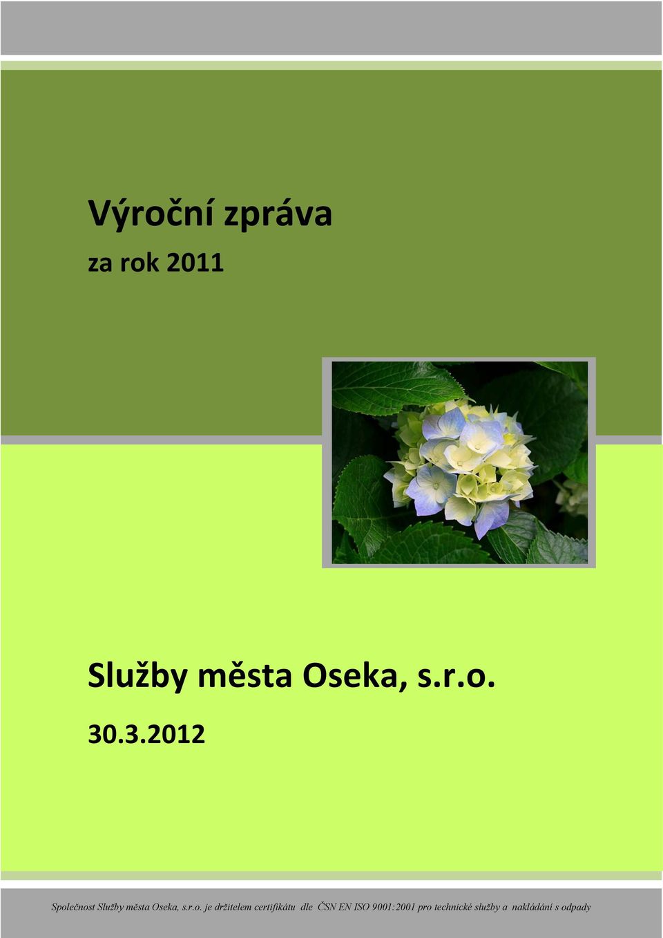 Služby města