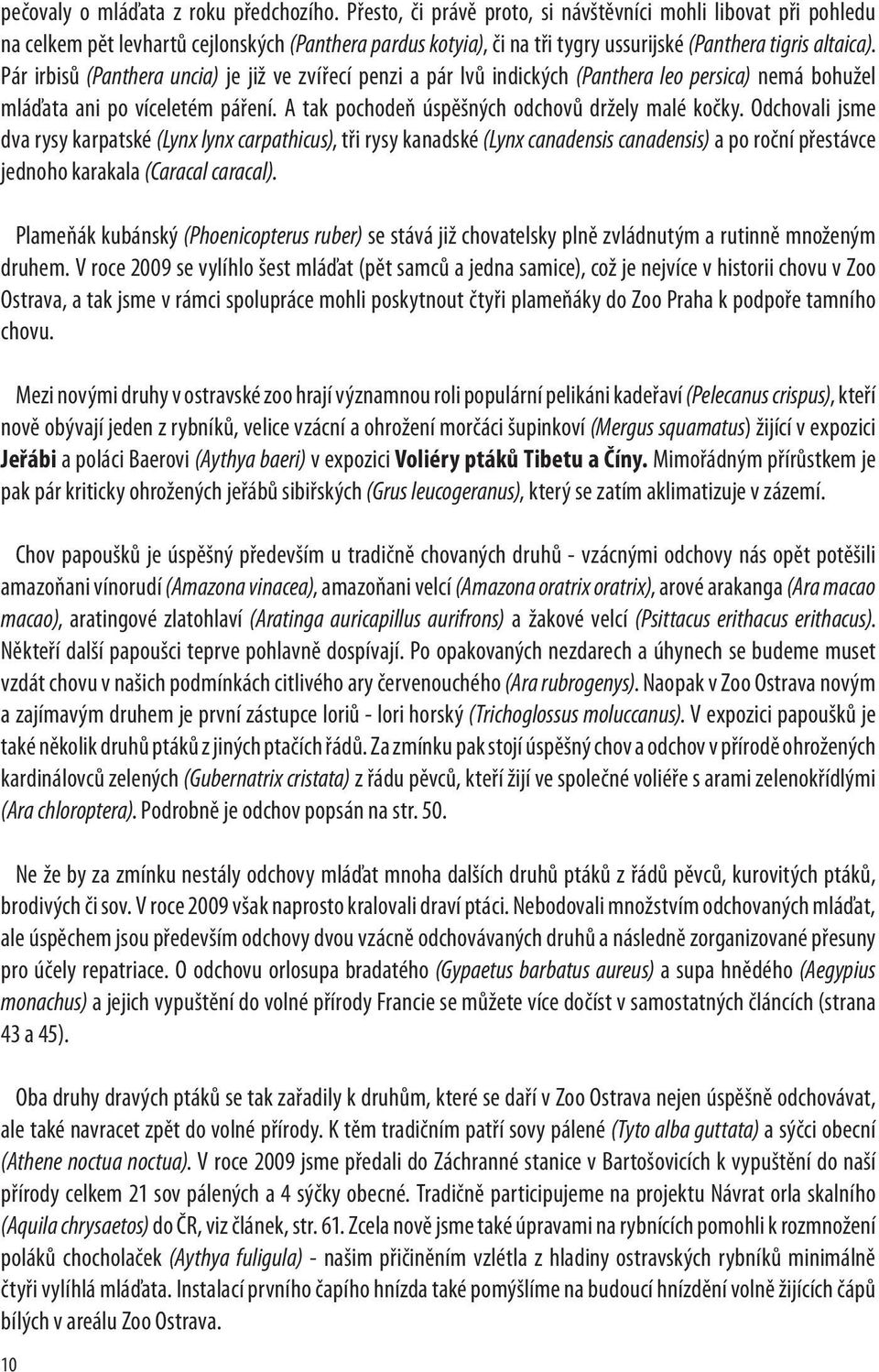 Pár irbisů (Panthera uncia) je již ve zvířecí penzi a pár lvů indických (Panthera leo persica) nemá bohužel mláďata ani po víceletém páření. A tak pochodeň úspěšných odchovů držely malé kočky.