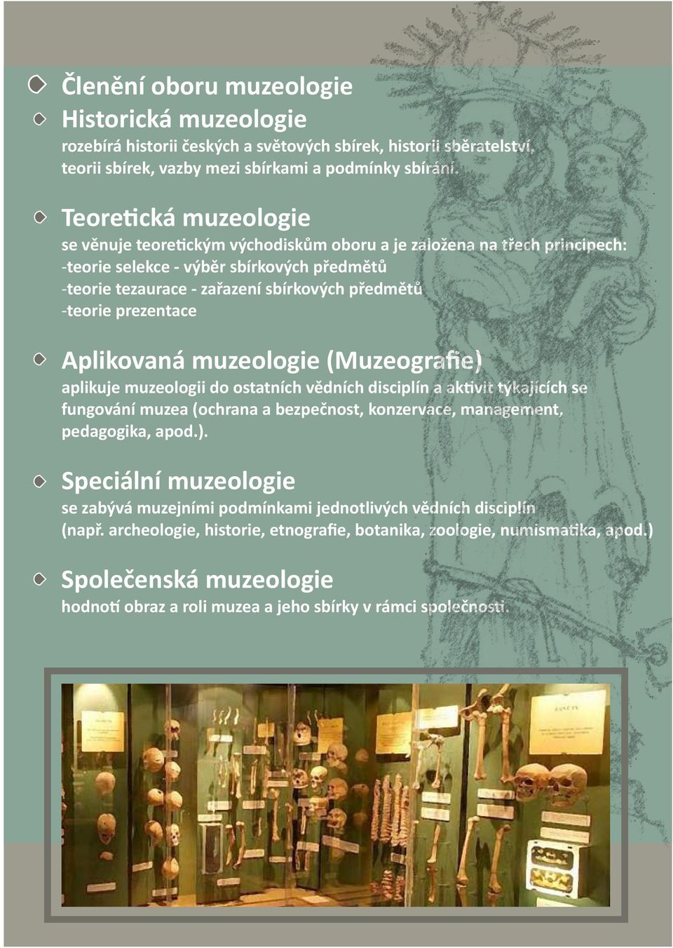 prezentace Aplikovaná muzeologie (Muzeografie) aplikuje muzeologii do ostatních vědních disciplín a ak vit týkajících se fungování muzea (ochrana a bezpečnost, konzervace, management, pedagogika,