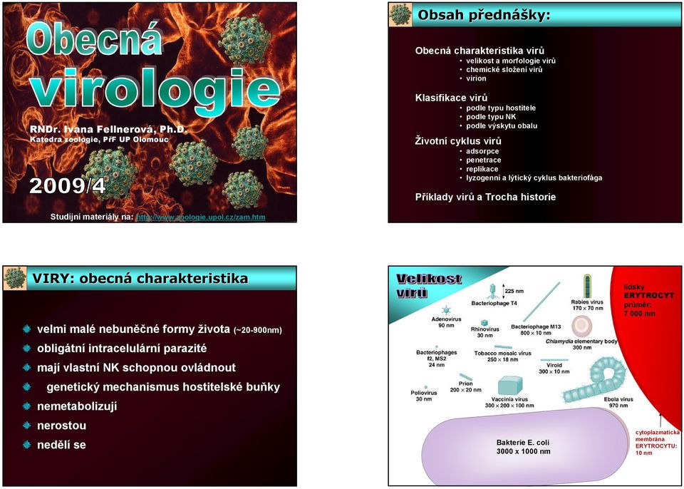 Katedra zoologie, PřF UP Olomouc podle typu hostitele podle typu NK podle výskytu obalu Životní cyklus virů adsorpce penetrace replikace lyzogenní a lýtický cyklus bakteriofága Příklady virů