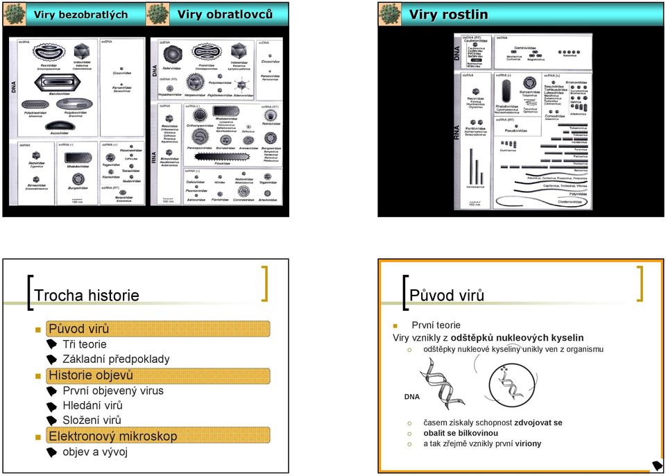 vývoj První teorie Viry vznikly z odštěpků nukleových kyselin odštěpky nukleové kyseliny unikly ven z