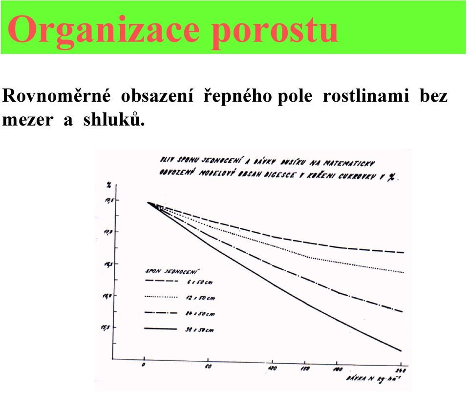 řepného pole