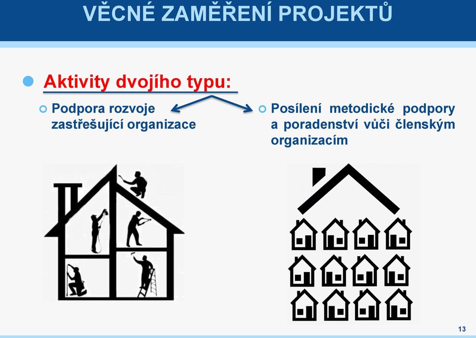 zastřešující organizace Posílení