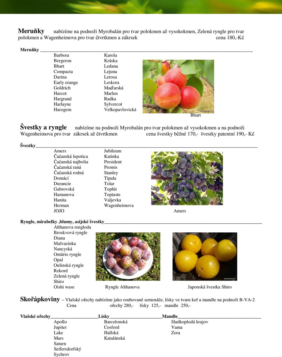 Myrobalán pro tvar polokmen až vysokokmen a na podnoži Wagenheimova pro tvar zákrsek až čtvrtkmen cena švestky běžné 170,- švestky patentní 190,- Kč Švestky Amers Jubileum Čačanská lepotica Katinka