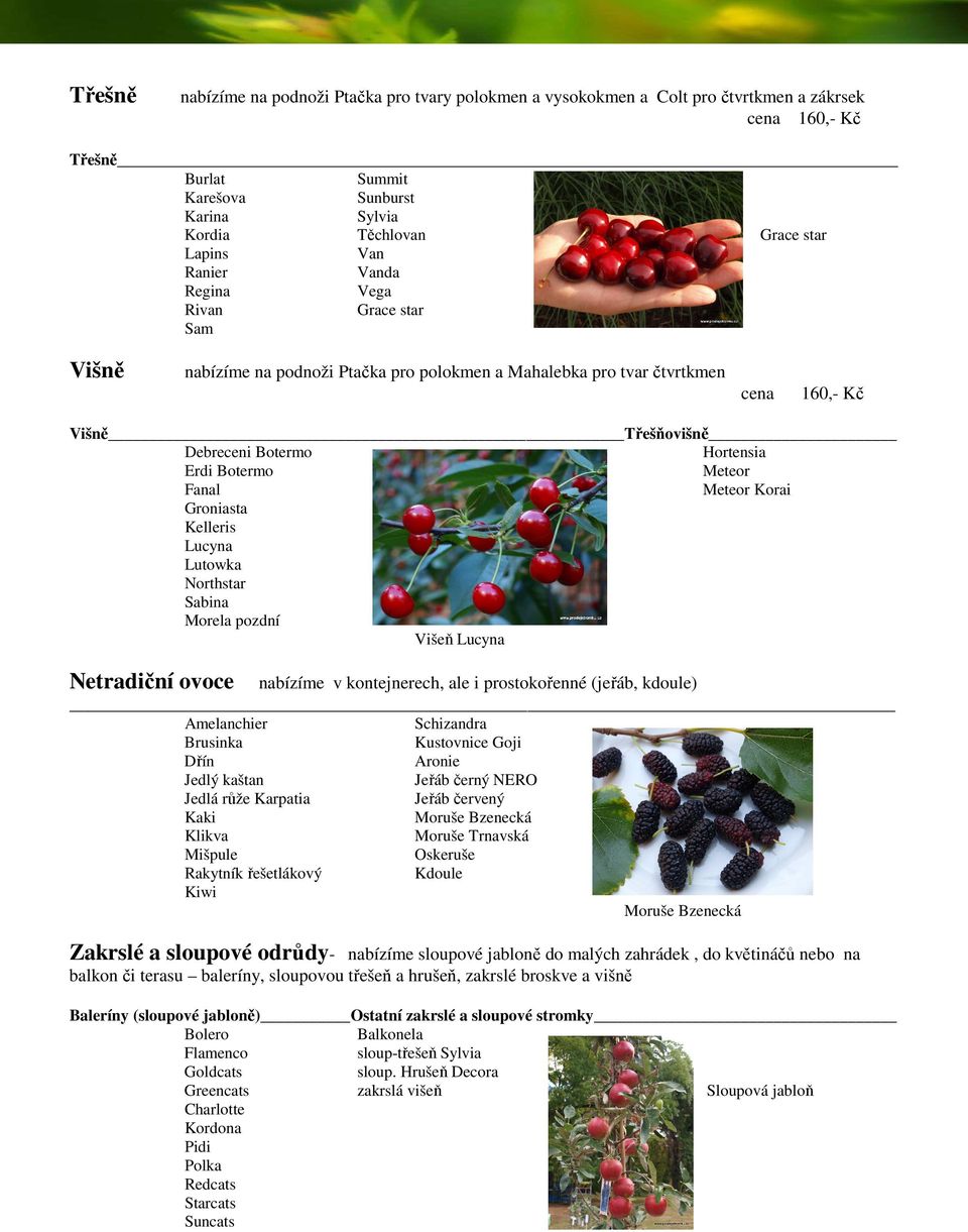 Meteor Fanal Meteor Korai Groniasta Kelleris Lucyna Lutowka Northstar Sabina Morela pozdní Višeň Lucyna Netradiční ovoce nabízíme v kontejnerech, ale i prostokořenné (jeřáb, kdoule) Amelanchier