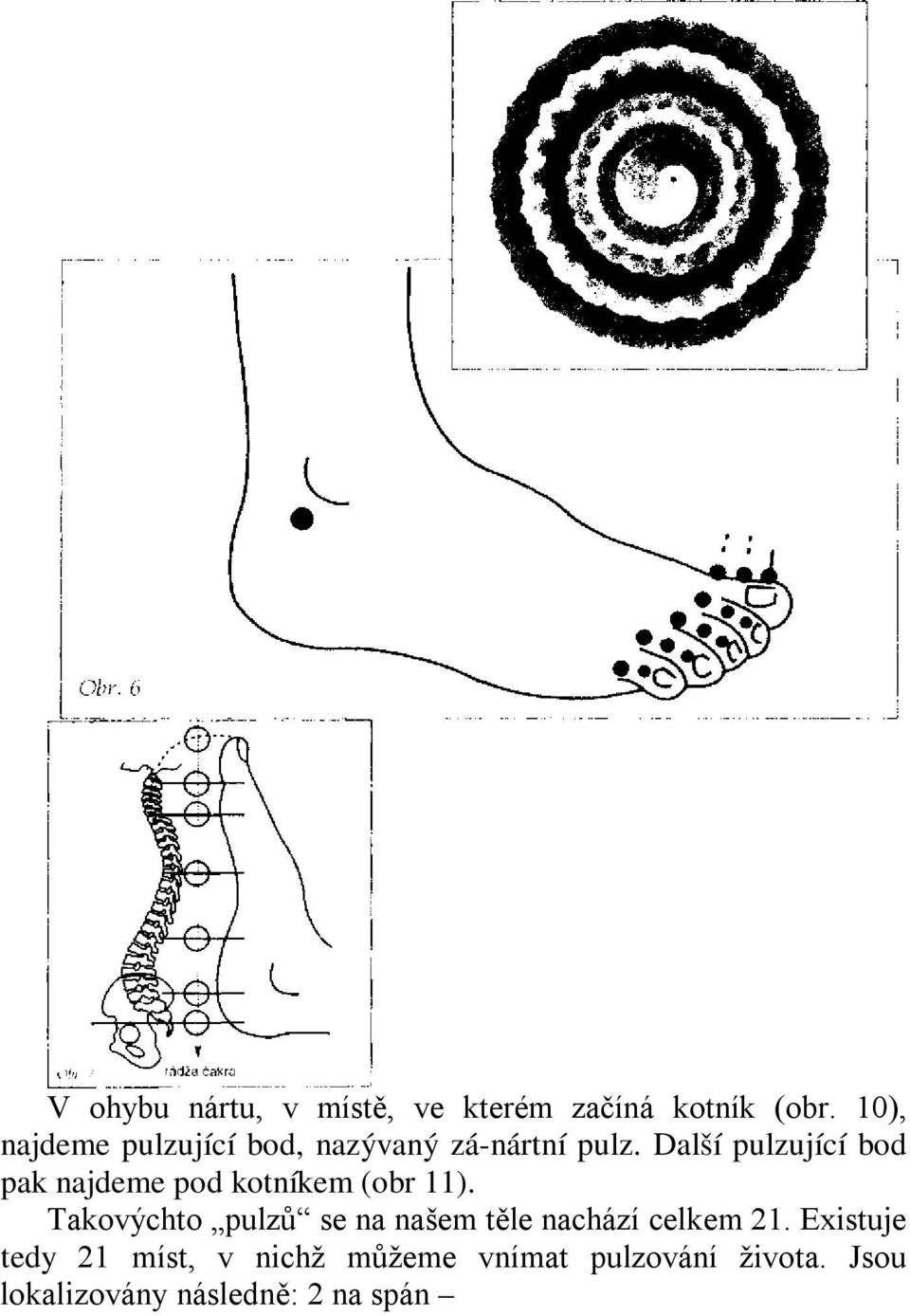 Další pulzující bod pak najdeme pod kotníkem (obr 11).