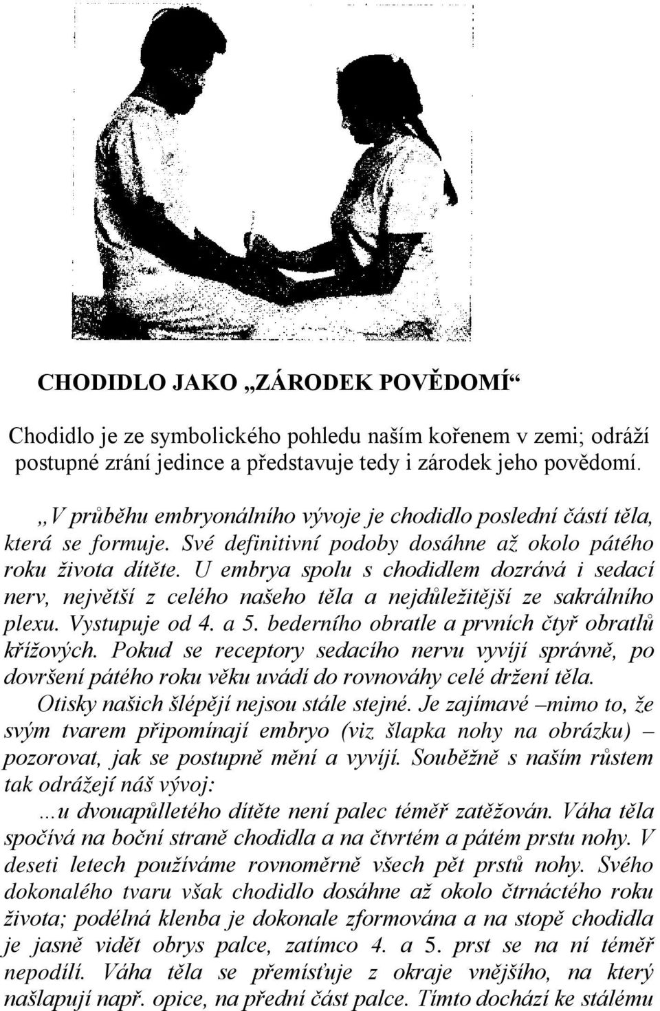 U embrya spolu s chodidlem dozrává i sedací nerv, největší z celého našeho těla a nejdůležitější ze sakrálního plexu. Vystupuje od 4. a 5. bederního obratle a prvních čtyř obratlů křížových.