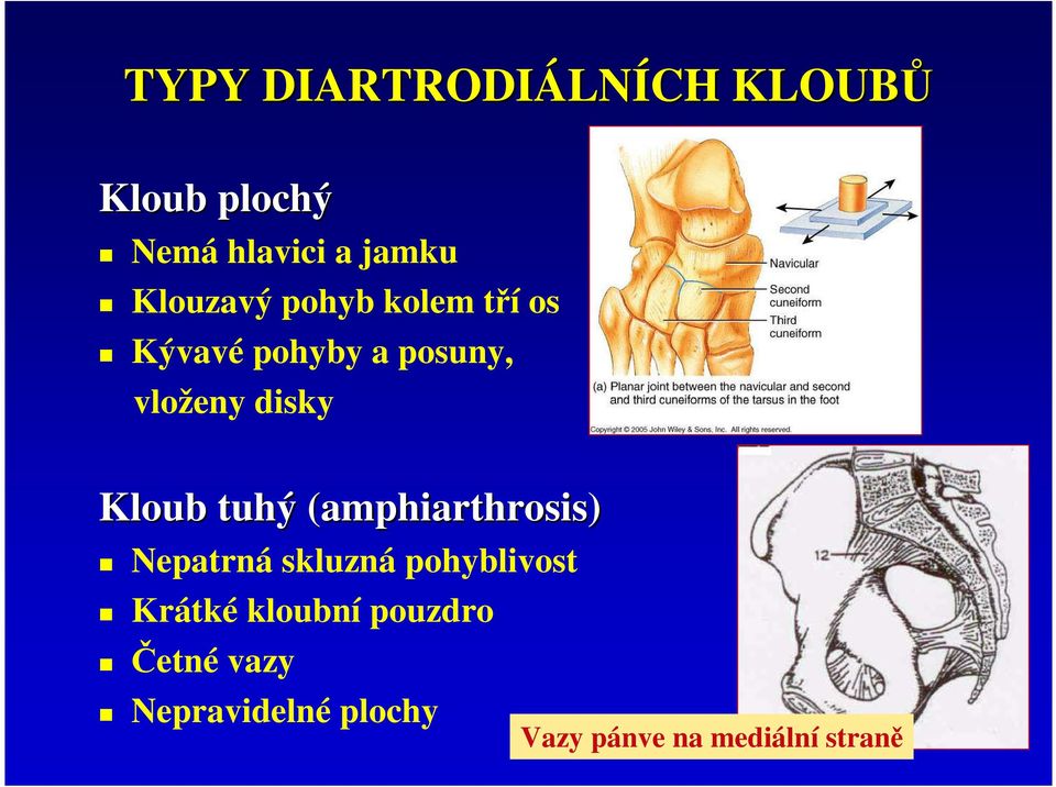 Kloub tuhý (amphiarthrosis) Nepatrná skluzná pohyblivost Krátké