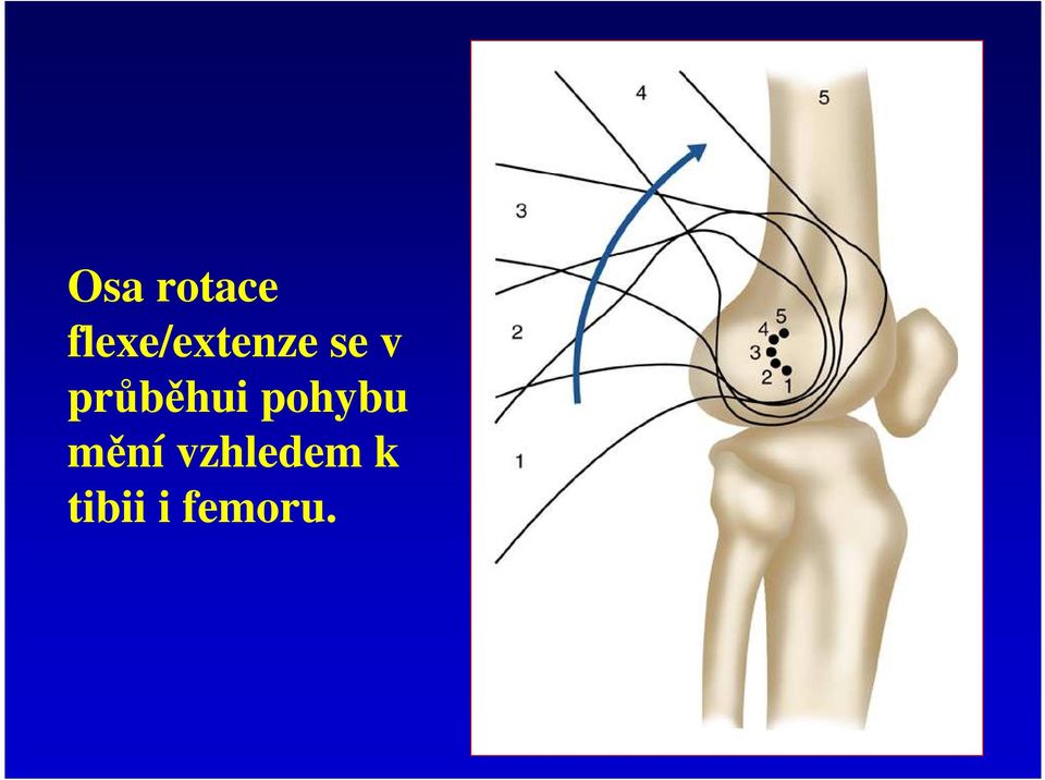 průběhui pohybu