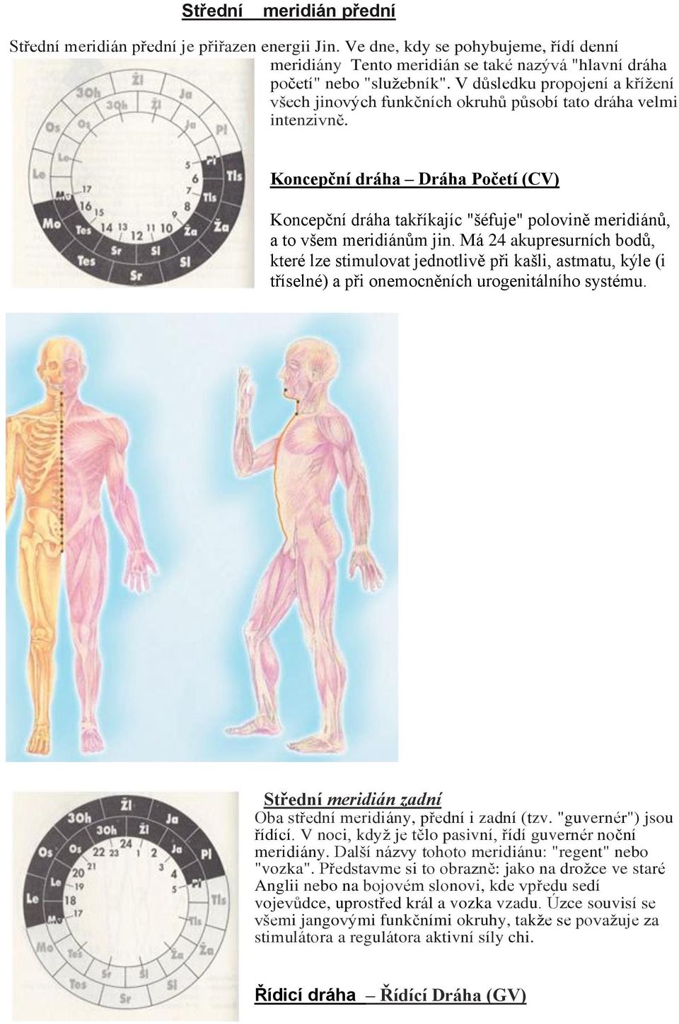 Koncepční dráha Dráha Početí (CV) Koncepční dráha takříkajíc "šéfuje" polovině meridiánů, a to všem meridiánům jin.