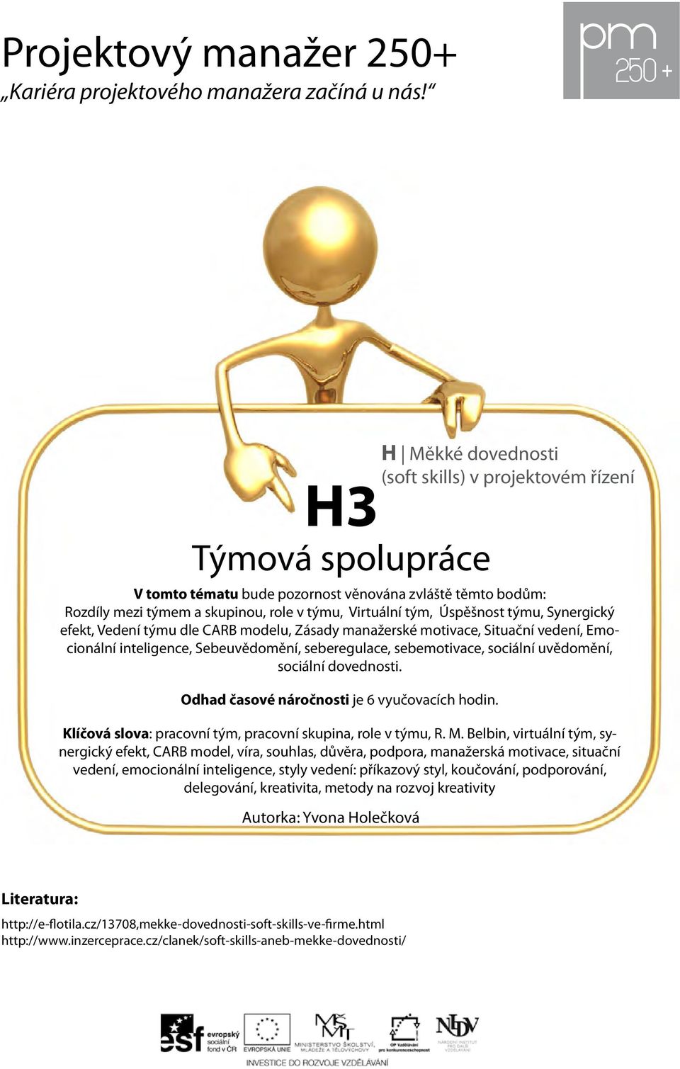 Úspěšnost týmu, Synergický efekt, Vedení týmu dle CARB modelu, Zásady manažerské motivace, Situační vedení, Emocionální inteligence, Sebeuvědomění, seberegulace, sebemotivace, sociální uvědomění,