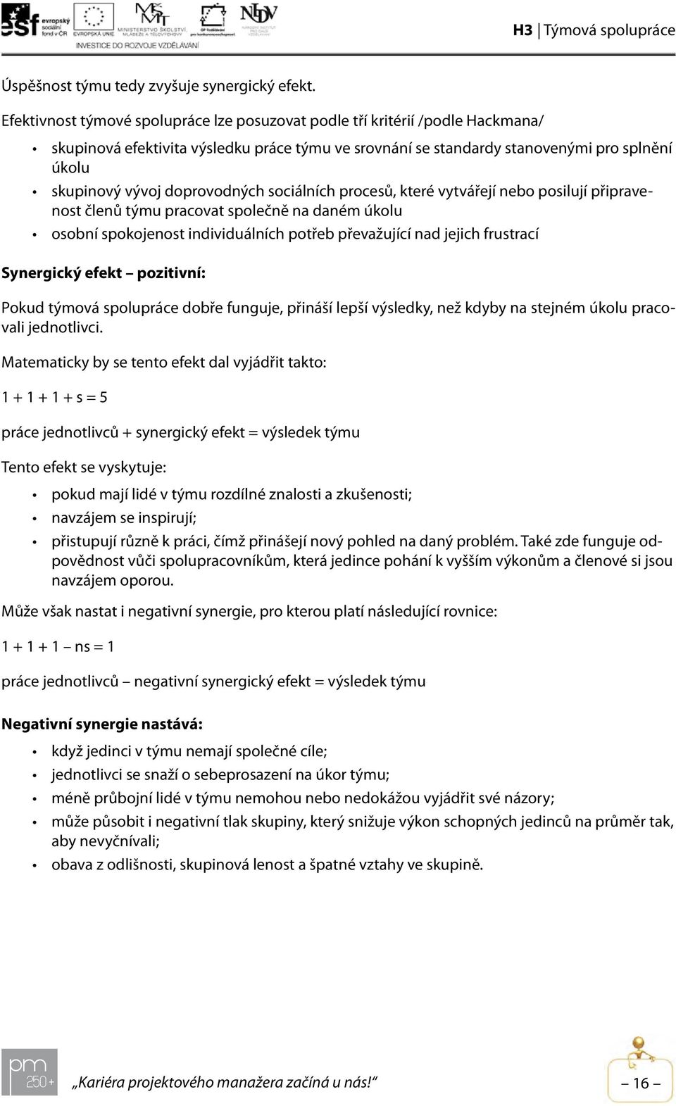 doprovodných sociálních procesů, které vytvářejí nebo posilují připravenost členů týmu pracovat společně na daném úkolu osobní spokojenost individuálních potřeb převažující nad jejich frustrací