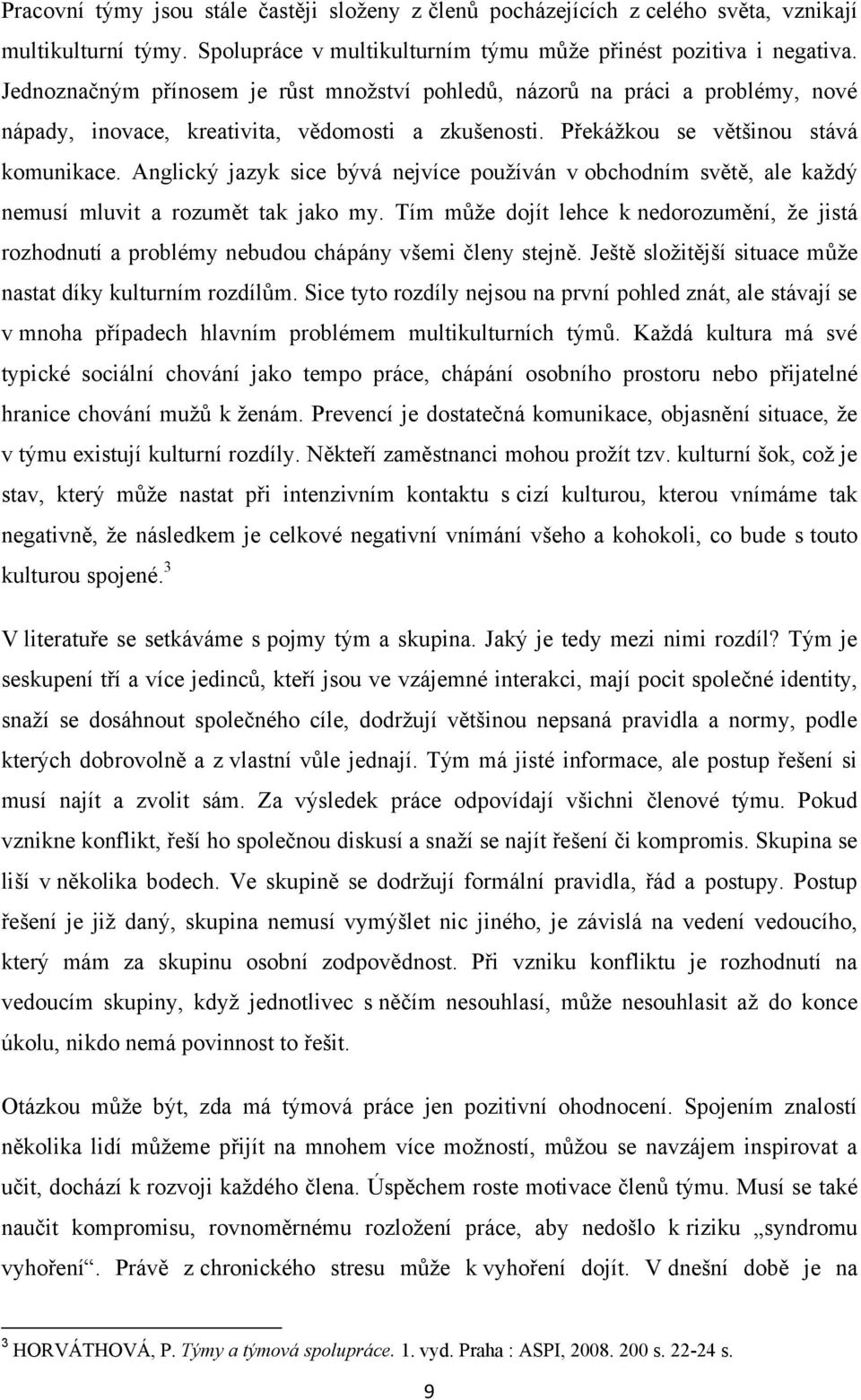 Anglický jazyk sice bývá nejvíce pouţíván v obchodním světě, ale kaţdý nemusí mluvit a rozumět tak jako my.