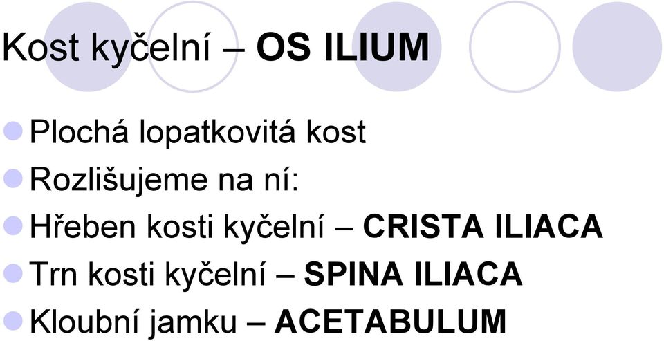 Hřeben kosti kyčelní CRISTA ILIACA Trn