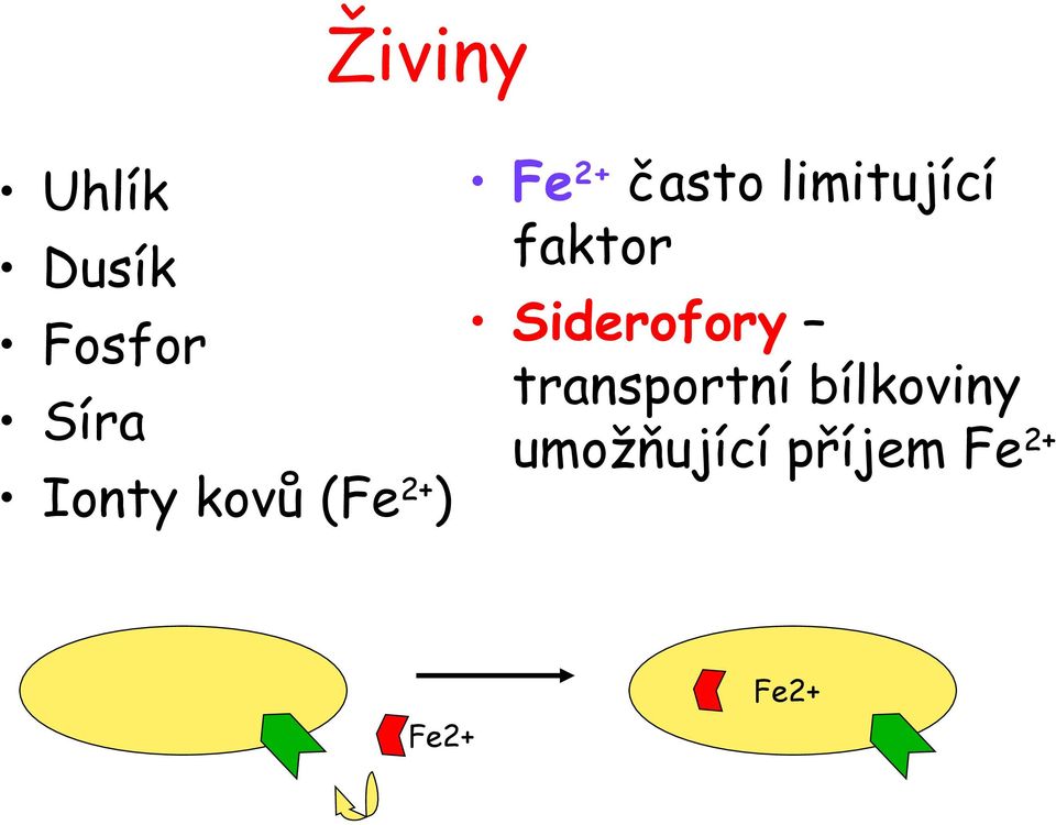 faktor Siderofory transportní