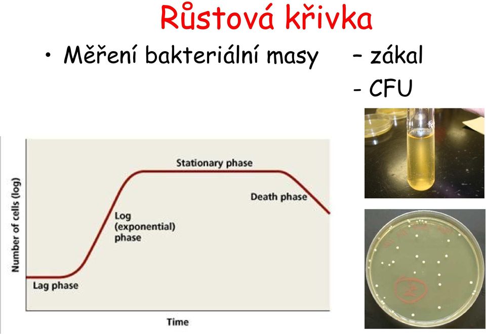 Měření