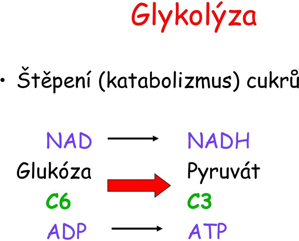 cukrů NAD Glukóza