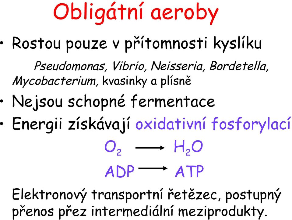 fermentace Energii získávají oxidativní fosforylací O 2 H 2 O ADP ATP