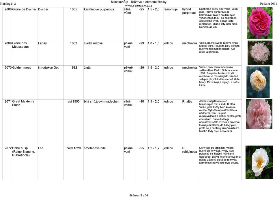 2068 Gloire de Ducher Ducher 1865 2069 Gloire des Mousseaux Laffay 1852 světle mechovka Velké, něžně světle růžové květy 2070 Golden moss introdukce Dot 1932 žlutá 1,5-2,0 mechovka Vůbec první žlutá