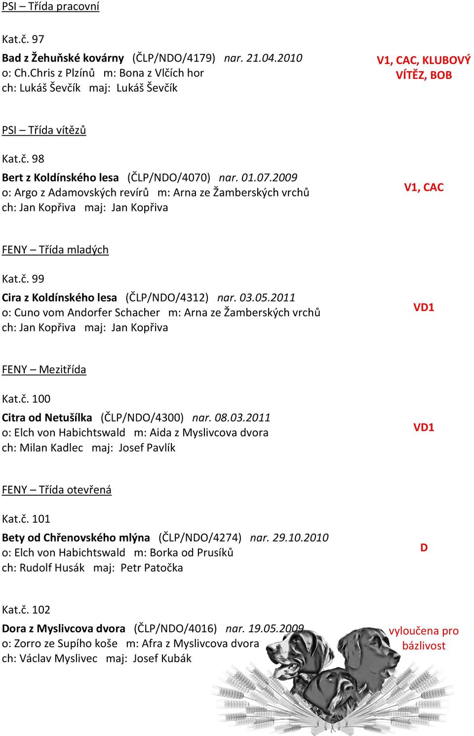 ) nar. 01.07.2009 o: Argo z Adamovských revírů m: Arna ze Žamberských vrchů ch: Jan Kopřiva maj: Jan Kopřiva V1, CAC FENY Třída mladých Kat.č. 99 Cira z Koldínského lesa (ČLP/NDO/4312) nar. 03.05.