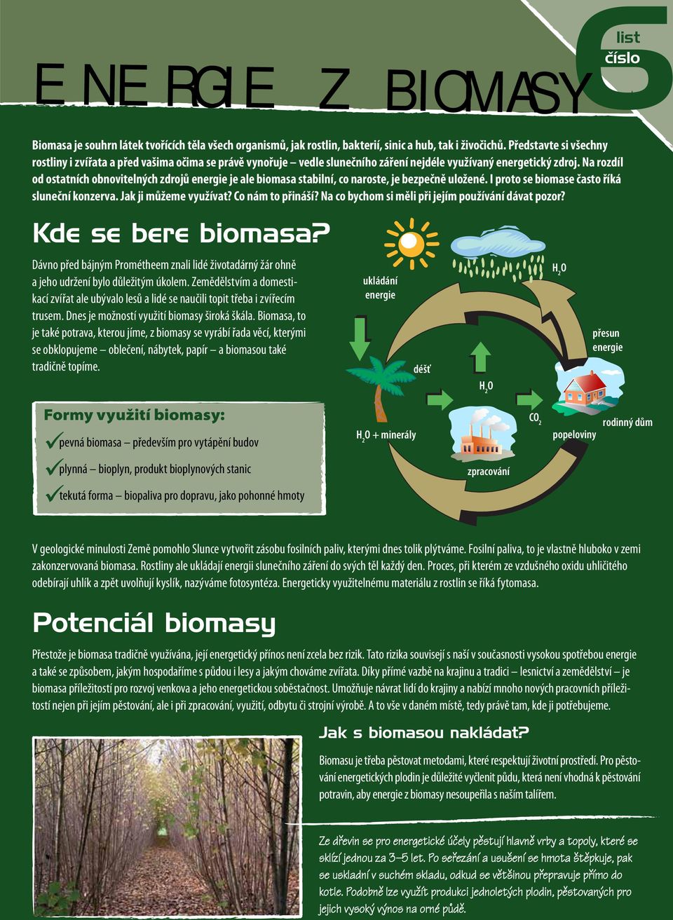 Na rozdíl od ostatních obnovitelných zdrojů energie je ale biomasa stabilní, co naroste, je bezpečně uložené. I proto se biomase často říká sluneční konzerva. Jak ji můžeme využívat?