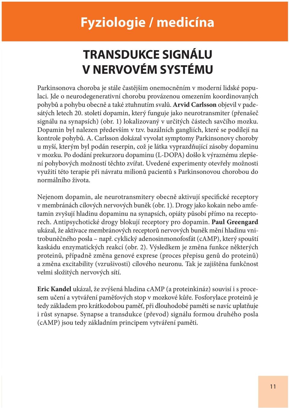 století dopamin, který funguje jako neurotransmiter (přenašeč signálu na synapsích) (obr. 1) lokalizovaný v určitých částech savčího mozku. Dopamin byl nalezen především v tzv.