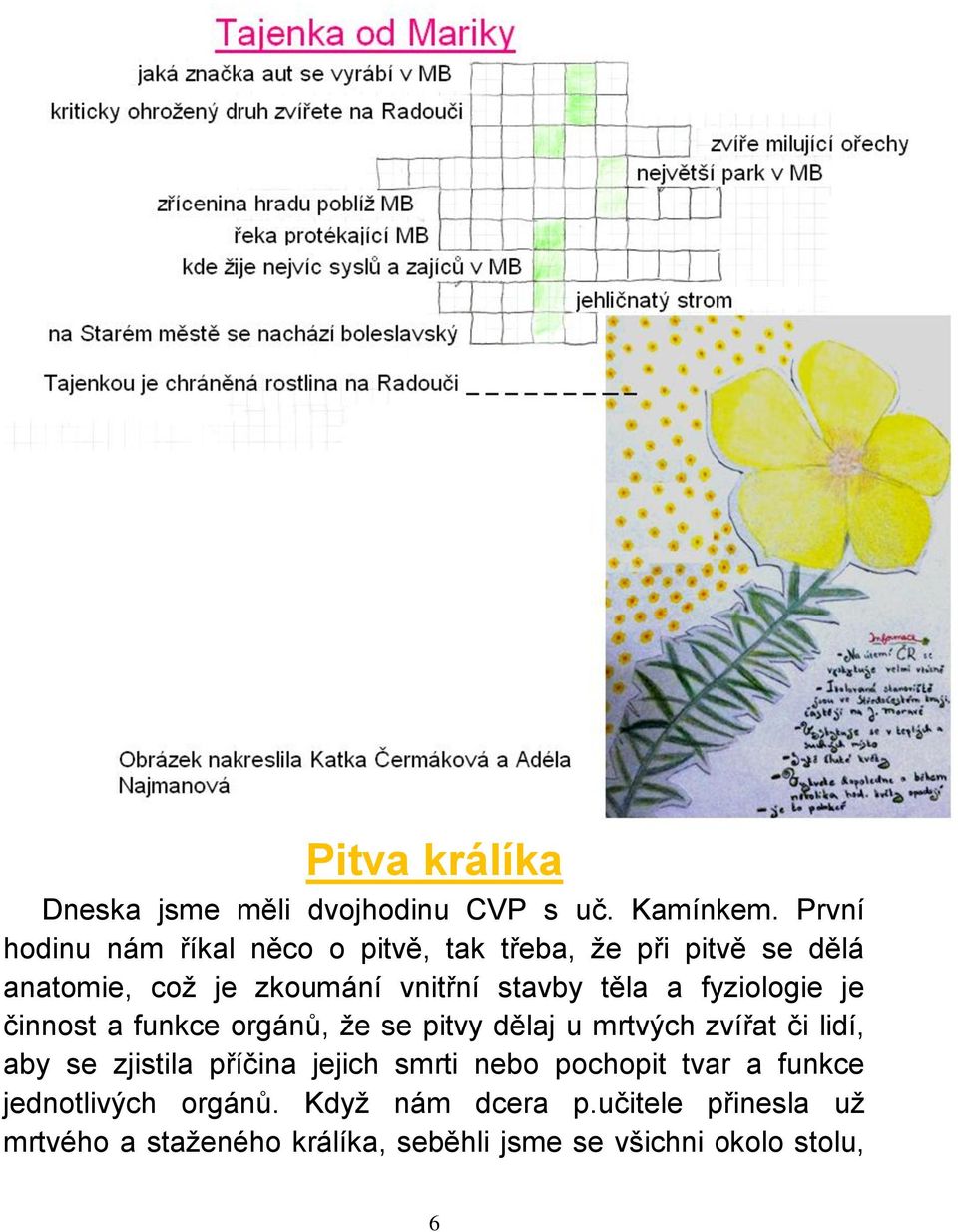 těla a fyziologie je činnost a funkce orgánů, že se pitvy dělaj u mrtvých zvířat či lidí, aby se zjistila