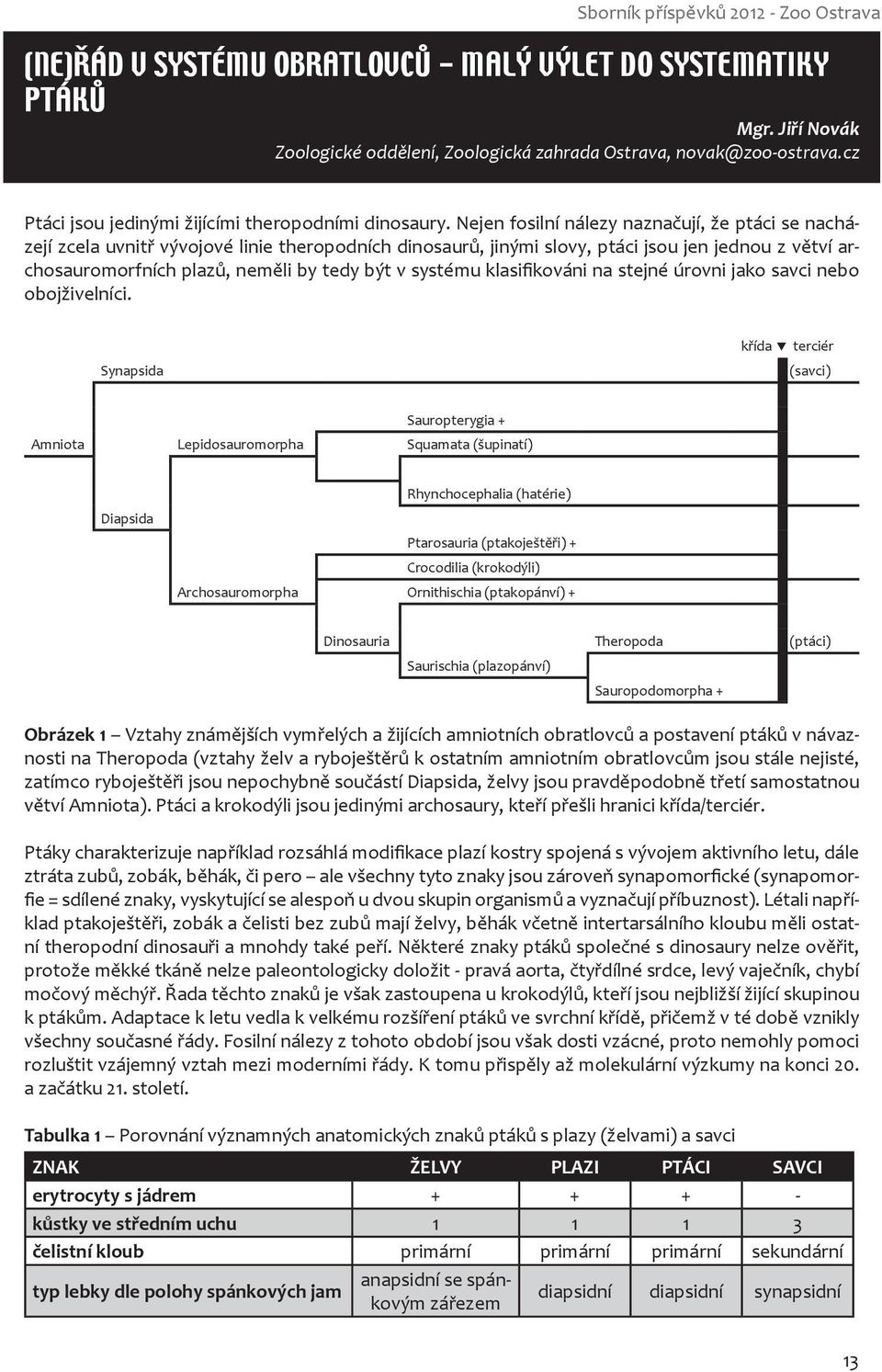 Nejen fosilní nálezy naznačují, že ptáci se nacházejí zcela uvnitř vývojové linie theropodních dinosaurů, jinými slovy, ptáci jsou jen jednou z větví archosauromorfních plazů, neměli by tedy být v