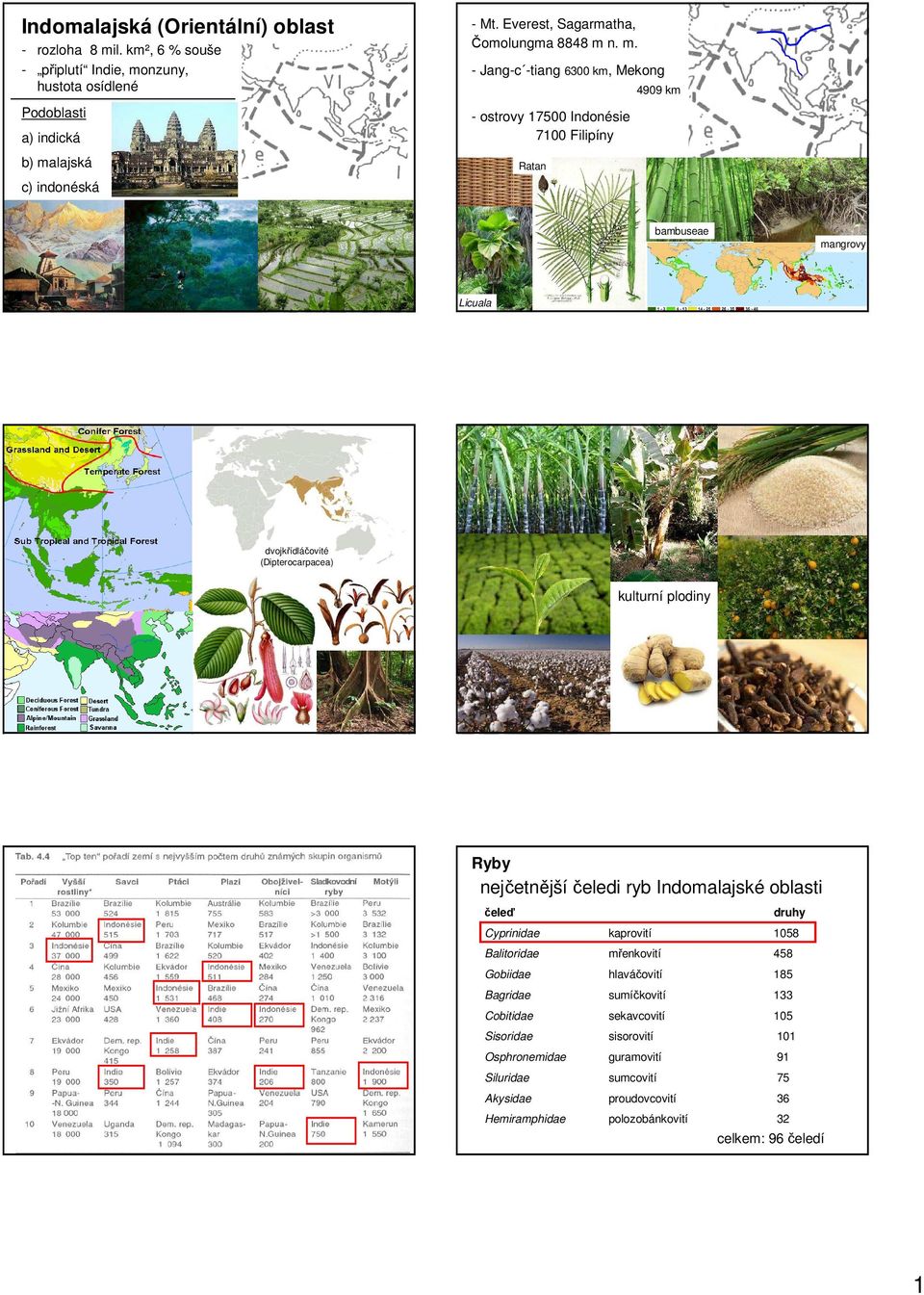 n. m. - Jang-c -tiang 6300 km, Mekong - ostrovy 17500 Indonésie 7100 Filipíny Ratan 4909 km bambuseae mangrovy Licuala dvojkřídláčovité (Dipterocarpacea) kulturní plodiny Ryby