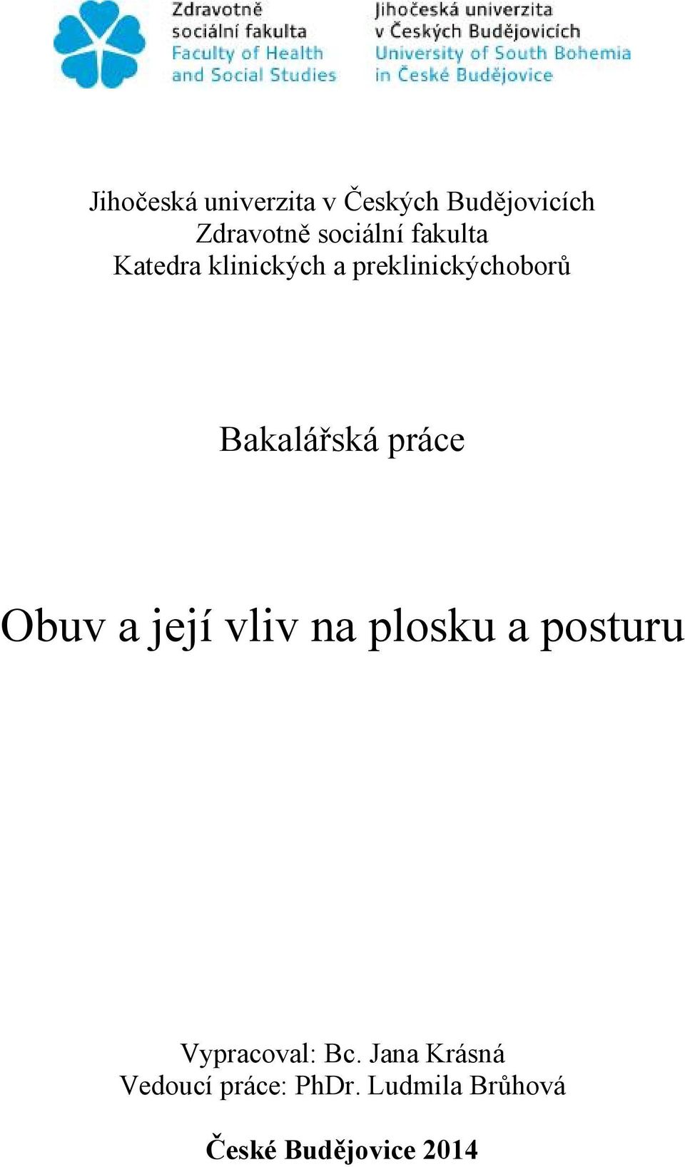 práce Obuv a její vliv na plosku a posturu Vypracoval: Bc.