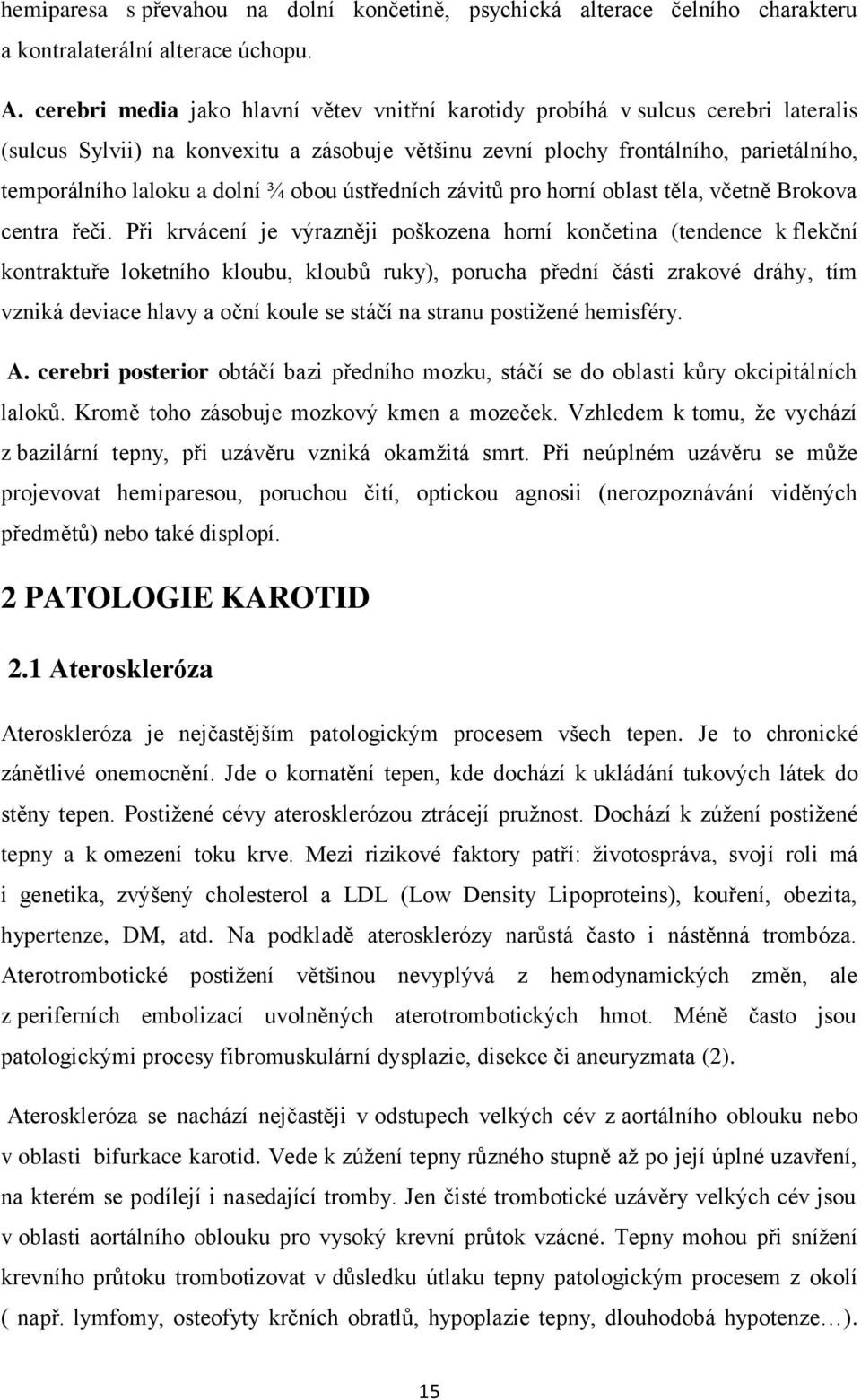 ¾ obou ústředních závitů pro horní oblast těla, včetně Brokova centra řeči.