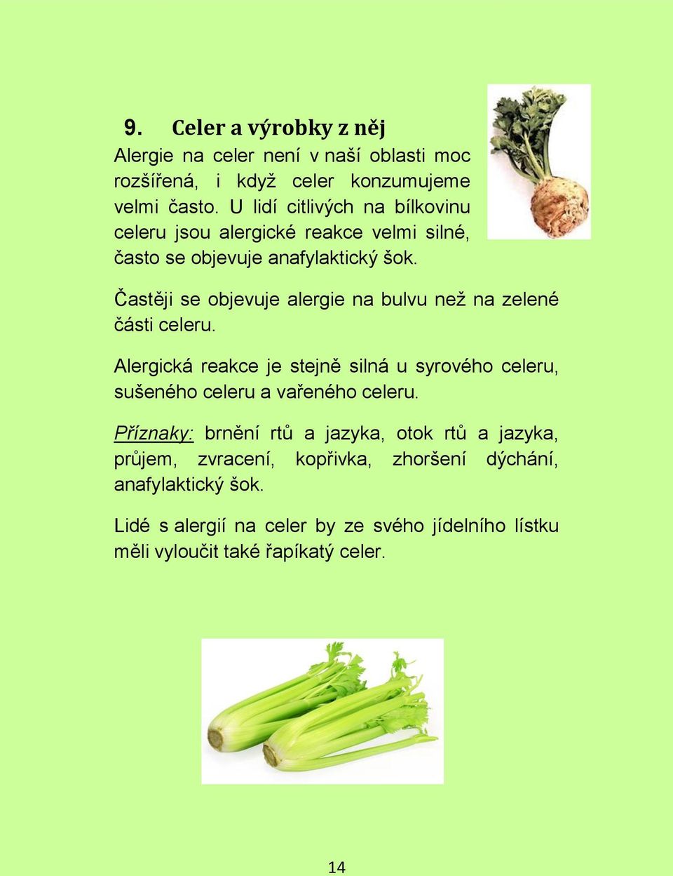 Častěji se objevuje alergie na bulvu než na zelené části celeru.