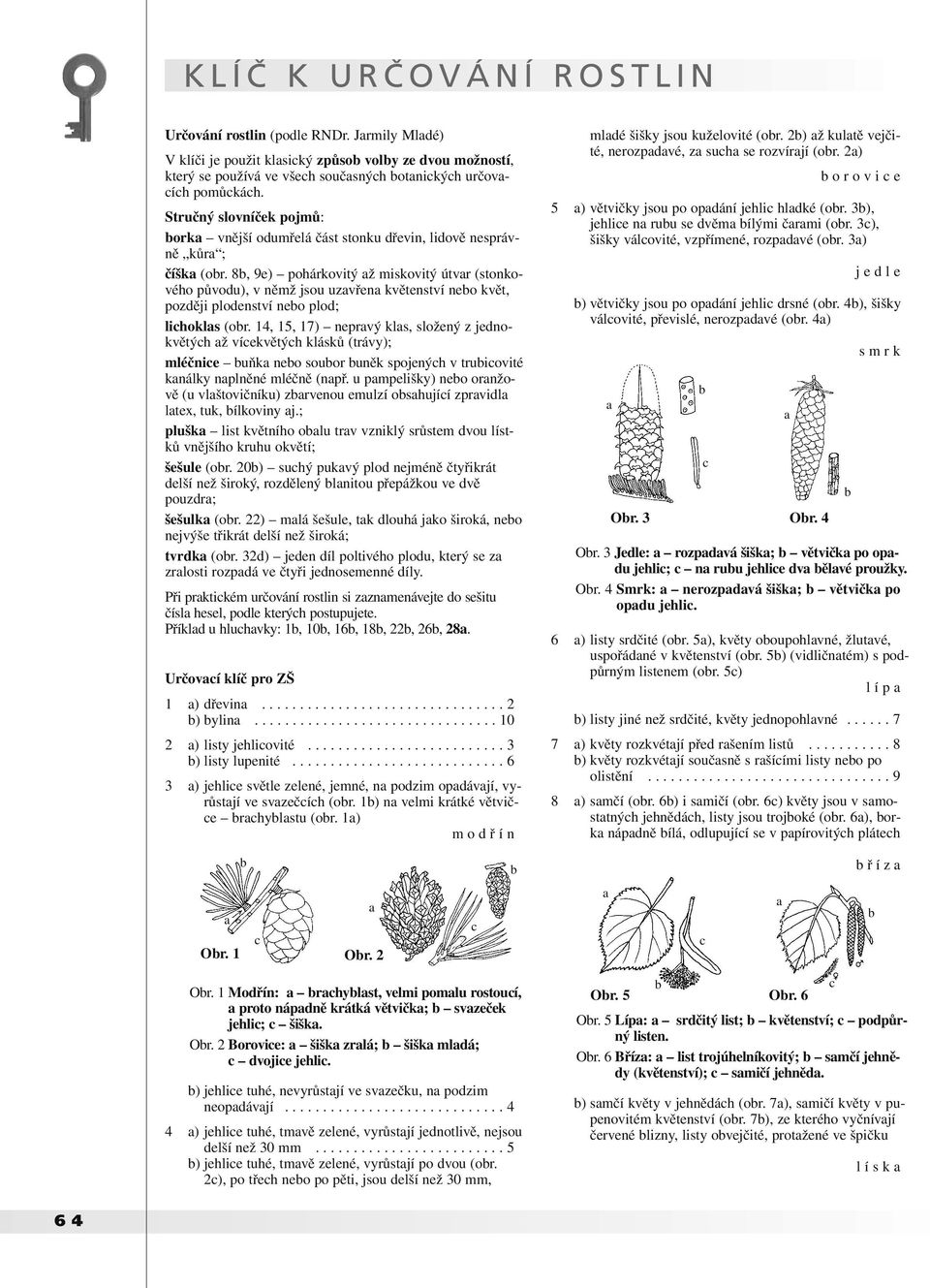 8, 9) pohárkovitý ž miskovitý útvr (stonkového půvou), v němž jsou uzvřn květnství no květ, pozěji plonství no plo; lihokls (or.