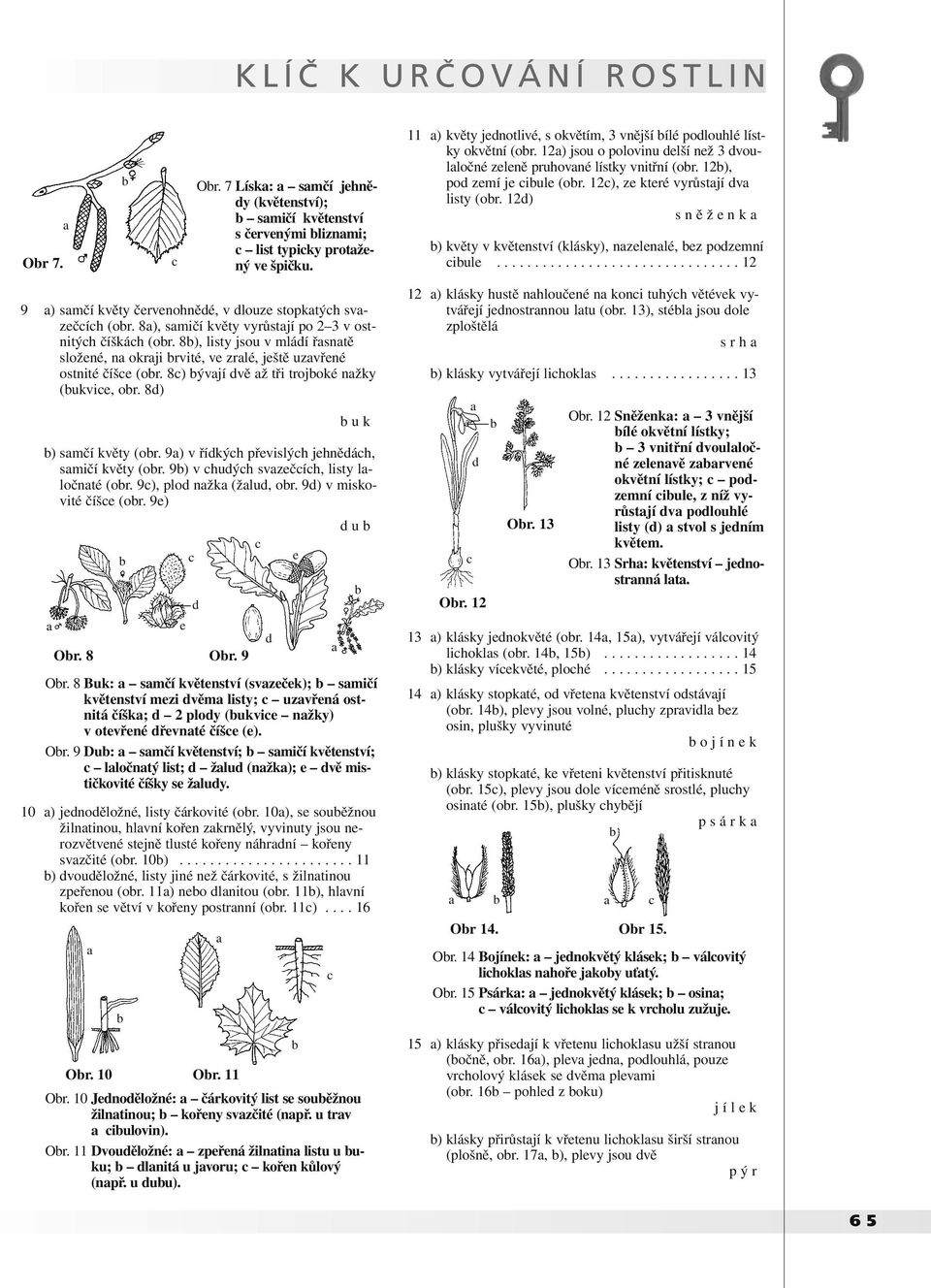 9) v huýh svzčíh, listy lločnté (or. 9), plo nžk (žlu, or. 9) v miskovité číš (or. 9) u Or. 8 Or. 9 Or. 7 Lísk: smčí jhněy (květnství); smičí květnství s črvnými liznmi; list typiky protžný v špičku.