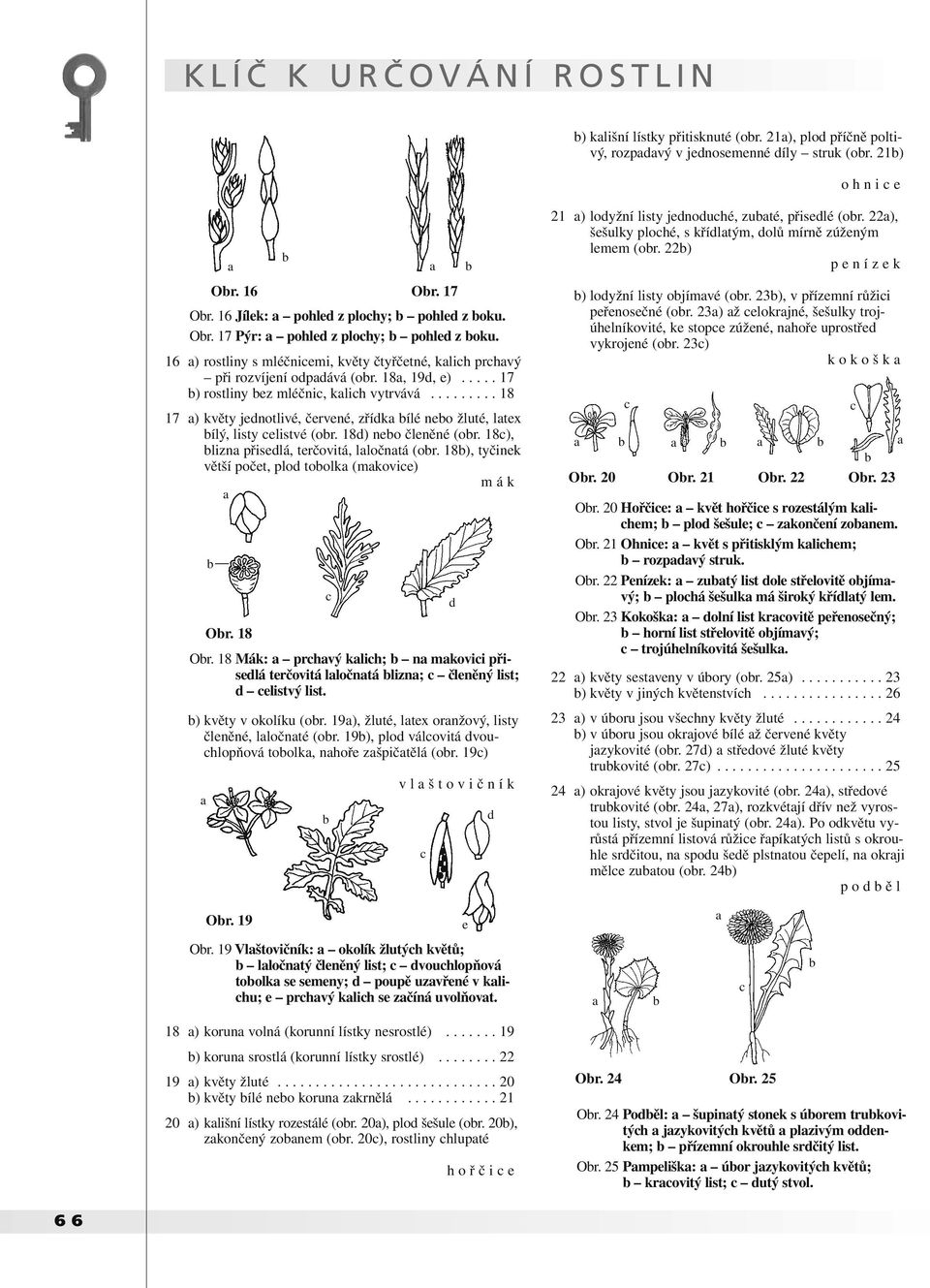 ........ 18 17 ) květy jnotlivé, črvné, zřík ílé no žluté, ltx ílý, listy listvé (or. 18) no člněné (or. 18), lizn přislá, trčovitá, lločntá (or. 18), tyčink větší počt, plo toolk (mkovi) m á k Or.