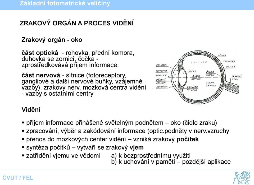 příjem informace přinášené světelným podnětem oko (čidlo zraku) zpracování, výběr a zakódování informace (optic.podněty v nerv.