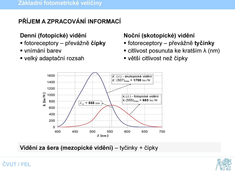 1600 1400 K (l ) - skotopické vidění K (507) max = 1700 lm /W 1200 K (lm /W ) 1000 800 600 l m = 555 nm K (l ) - fotopické