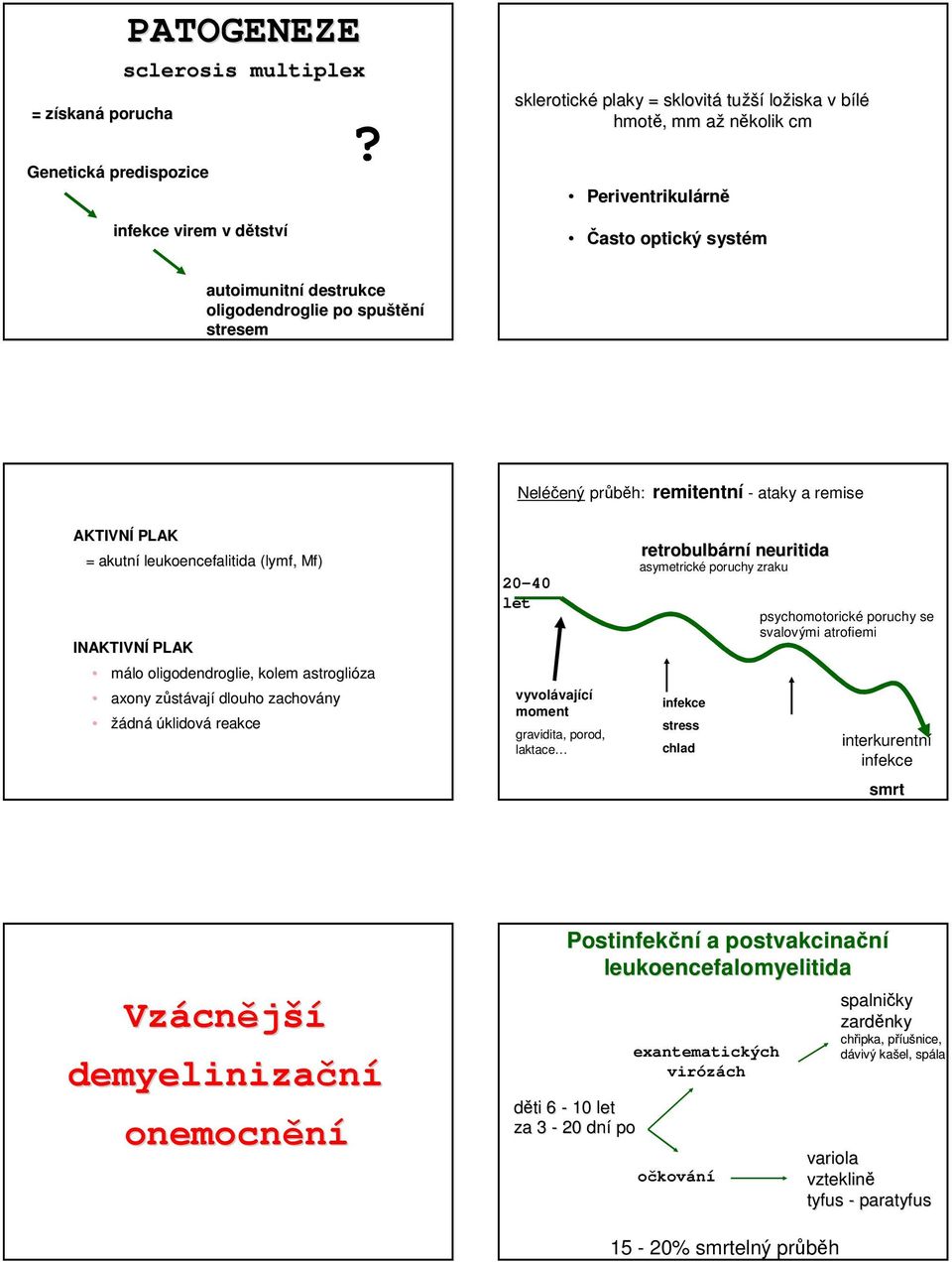 INAKTIVNÍ PLAK málo oligodendroglie, kolem astroglióza axony zůstz stávají dlouho zachovány žádná úklidová reakce 20-40 let vyvolávající moment gravidita, porod, laktace retrobulbárn rní neuritida