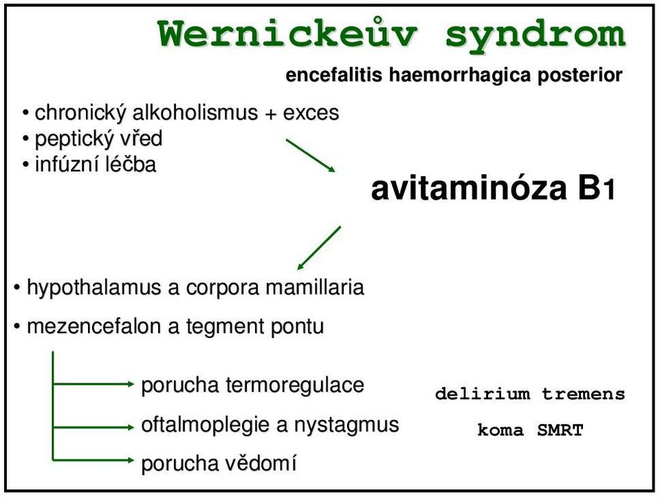 hypothalamus a corpora mamillaria mezencefalon a tegment pontu porucha