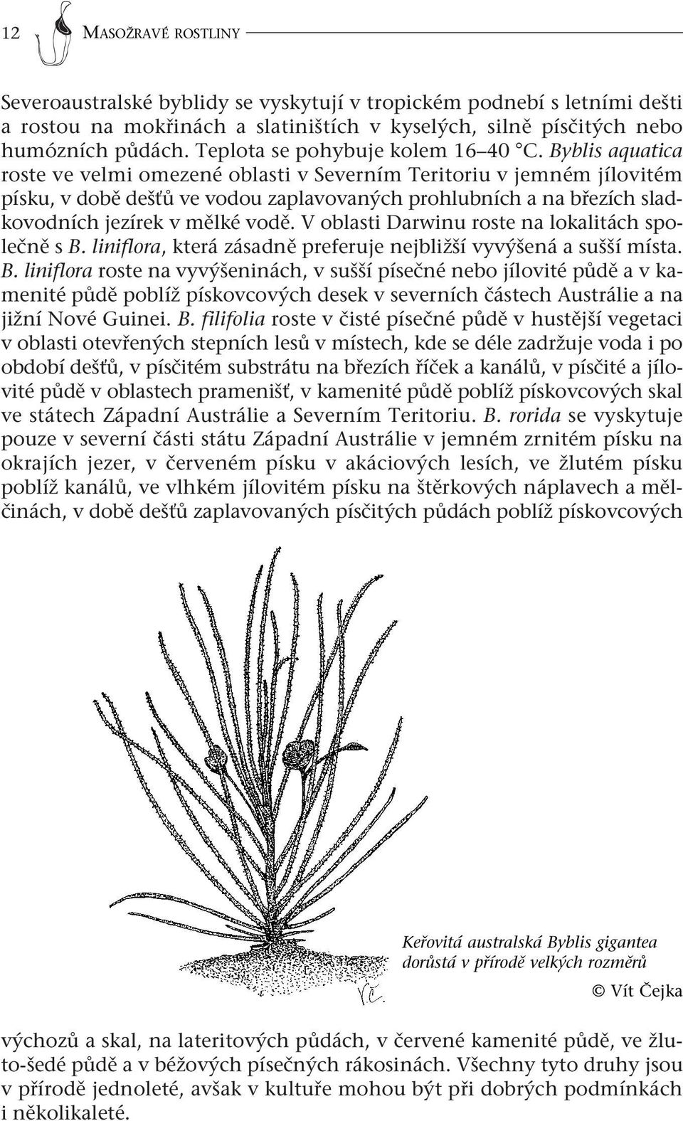 Byblis aquatica roste ve velmi omezené oblasti v Severním Teritoriu v jemném jílovitém písku, v době dešťů ve vodou zaplavovaných prohlubních a na březích sladkovodních jezírek v mělké vodě.