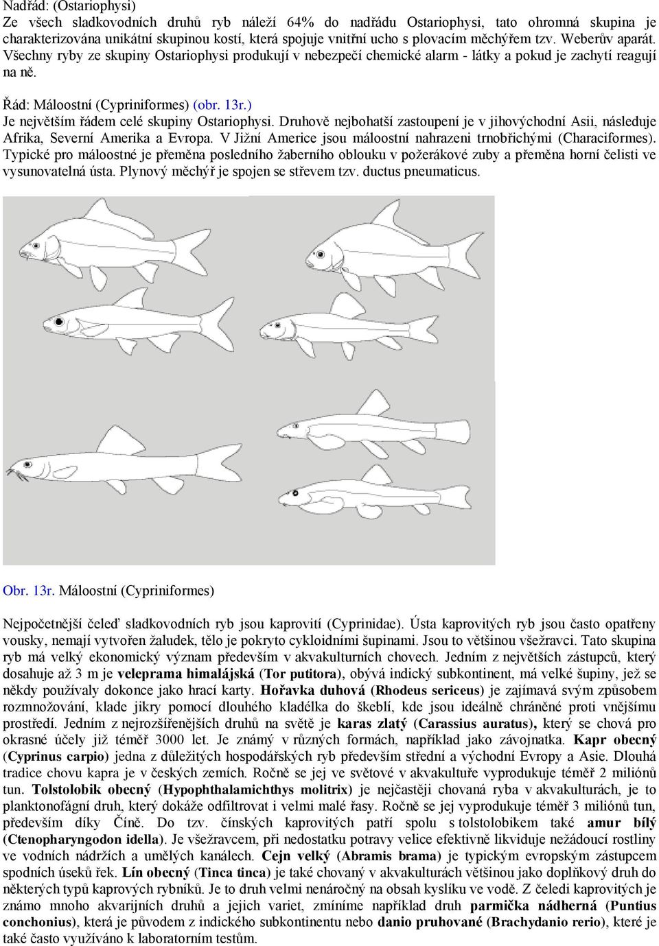 ) Je největším řádem celé skupiny Ostariophysi. Druhově nejbohatší zastoupení je v jihovýchodní Asii, následuje Afrika, Severní Amerika a Evropa.