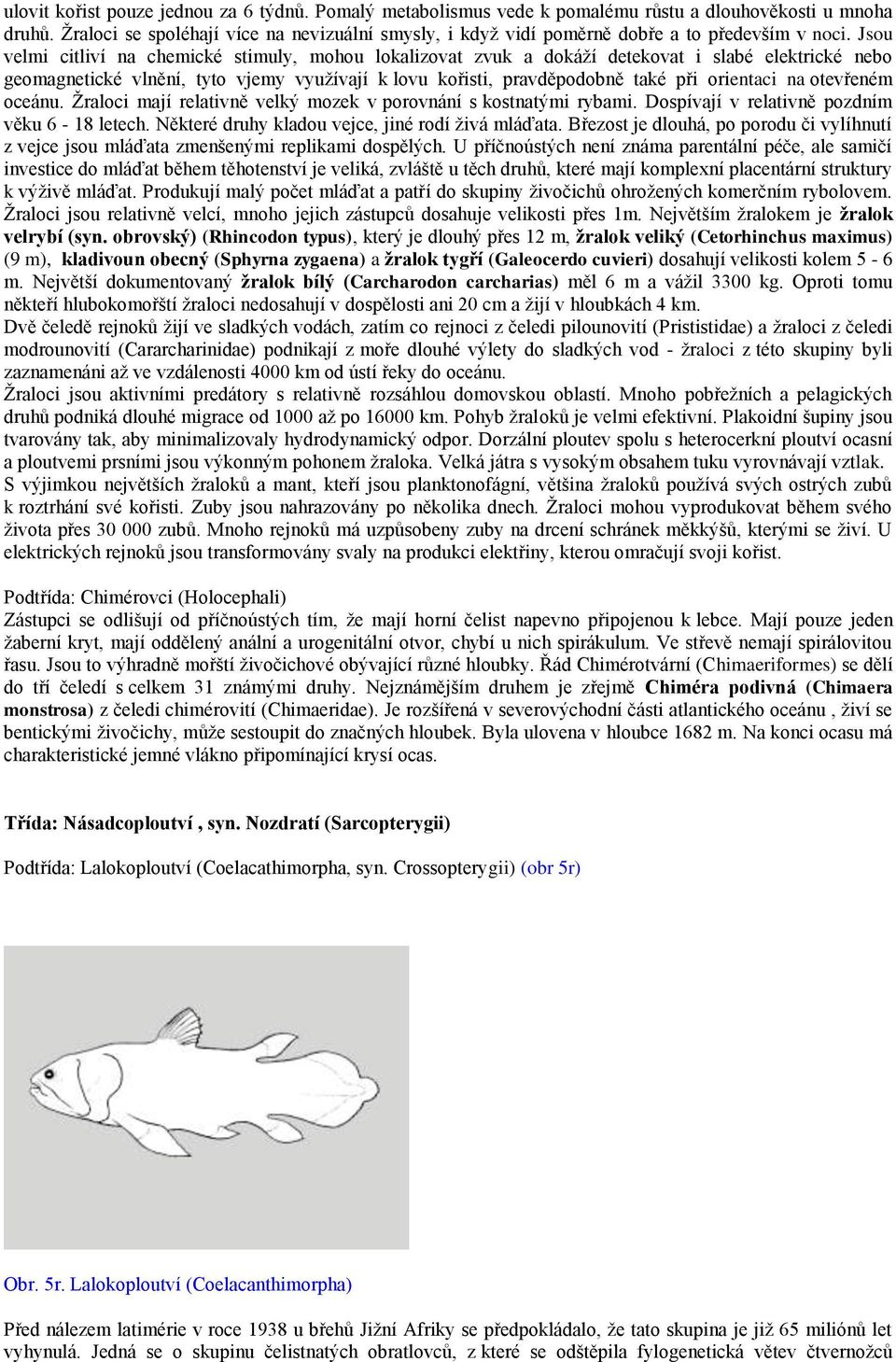 Jsou velmi citliví na chemické stimuly, mohou lokalizovat zvuk a dokáţí detekovat i slabé elektrické nebo geomagnetické vlnění, tyto vjemy vyuţívají k lovu kořisti, pravděpodobně také při orientaci