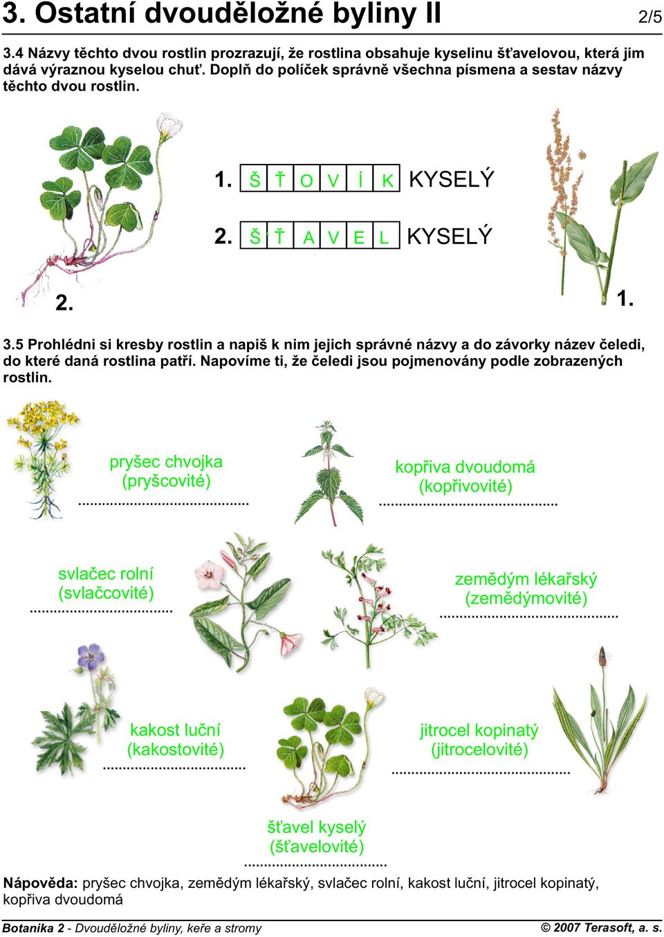5 Prohlédni si kresby rostlin a napiš k nim jejich správné názvy a do závorky název èeledi, do které daná rostlina patøí.