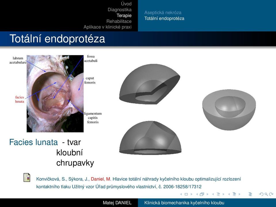 chrupavky Konvičková, S., Sýkora, J., Daniel, M.