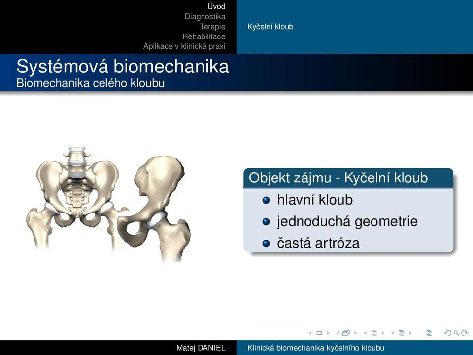 kloub Objekt zájmu - Kyčelní kloub