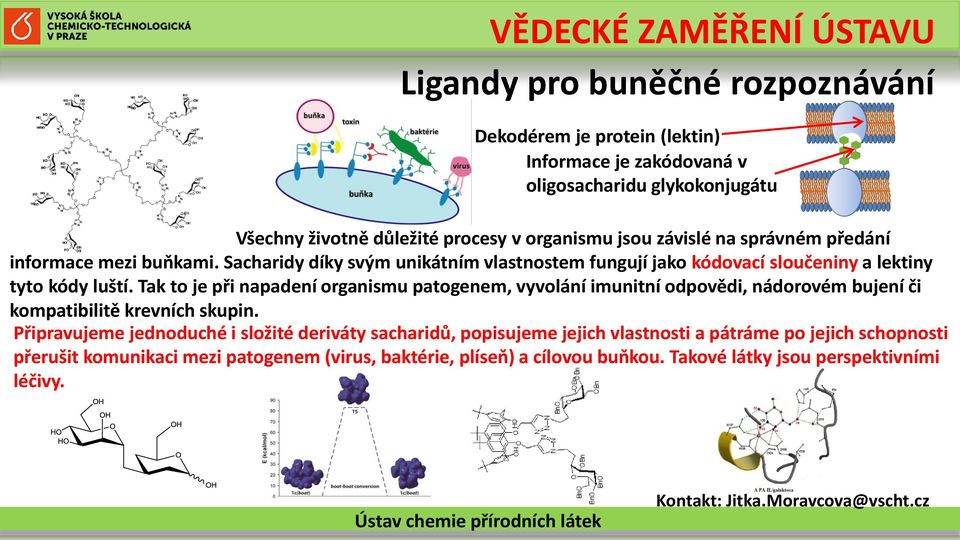 Tak to je při napadení organismu patogenem, vyvolání imunitní odpovědi, nádorovém bujení či kompatibilitě krevních skupin.